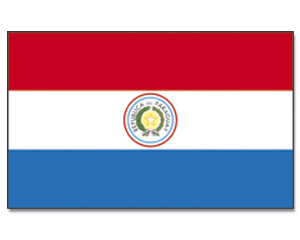 Promex Flagge Paraguay 90 x 150 cm 85134