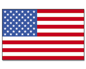 Talamex Gastlandflagge Größe 20x30 cm USA DVU20
