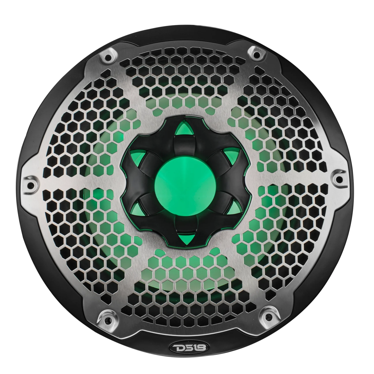 DS18 Subwoofer 10