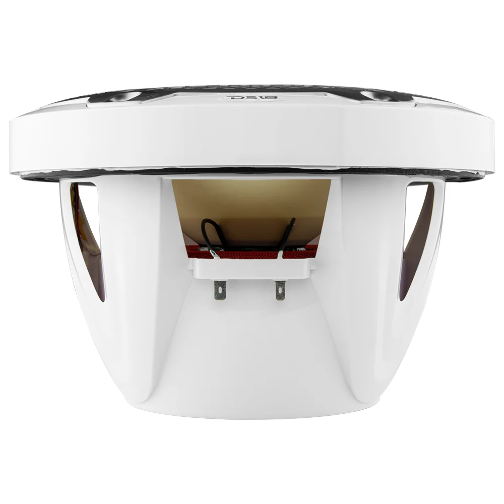 DS18 Subwoofer 10