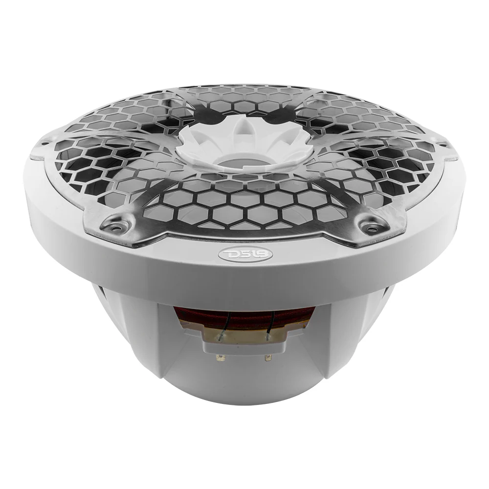 DS18 Subwoofer 12