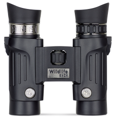 Steiner Fernglas Wildlife 8x24 Steiner Fernglas Wildlife 8x24
