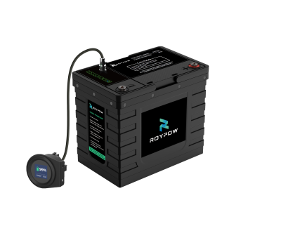RoyPow LiFePO4 Lithium-Batterie 12V 100Ah Serie S 567616