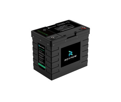 RoyPow LiFePO4 Lithium-Batterie 12V 100Ah Serie S 567616