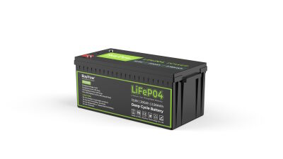 RoyPow LiFePO4 Lithium-Batterie 12V 200Ah Serie S 567612