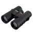 Steiner Fernglas Safari UltraSharp 10x42