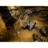 Steiner Fernglas Wildlife 10x42